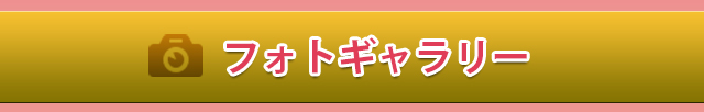 フォトギャラリーページ
