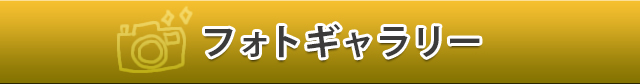 フォトギャラリーページ