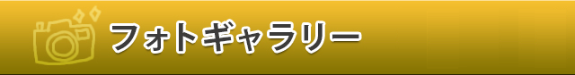 フォトギャラリー