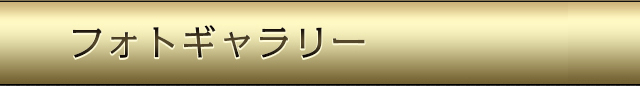 フォトギャラリー