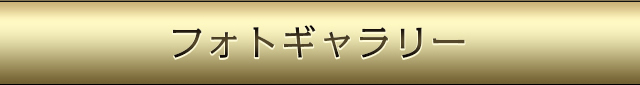 フォトギャラリーページ