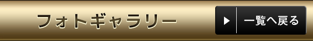 フォトギャラリー